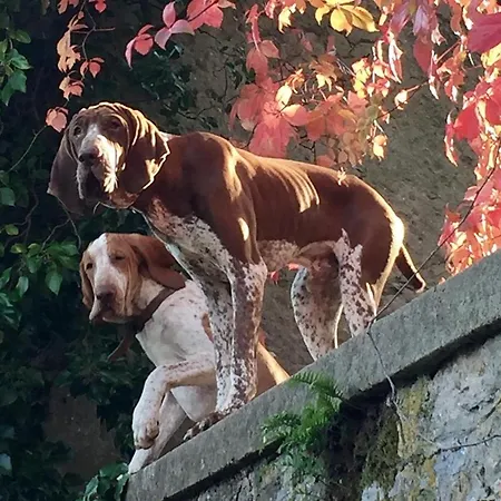 Federici * La Spezia