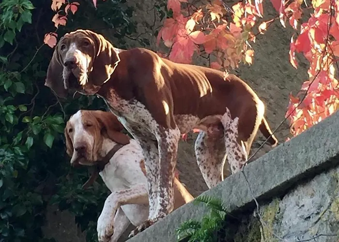 Federici * La Spezia